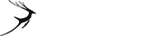哪里能买到正版的在线短信轰炸网页版